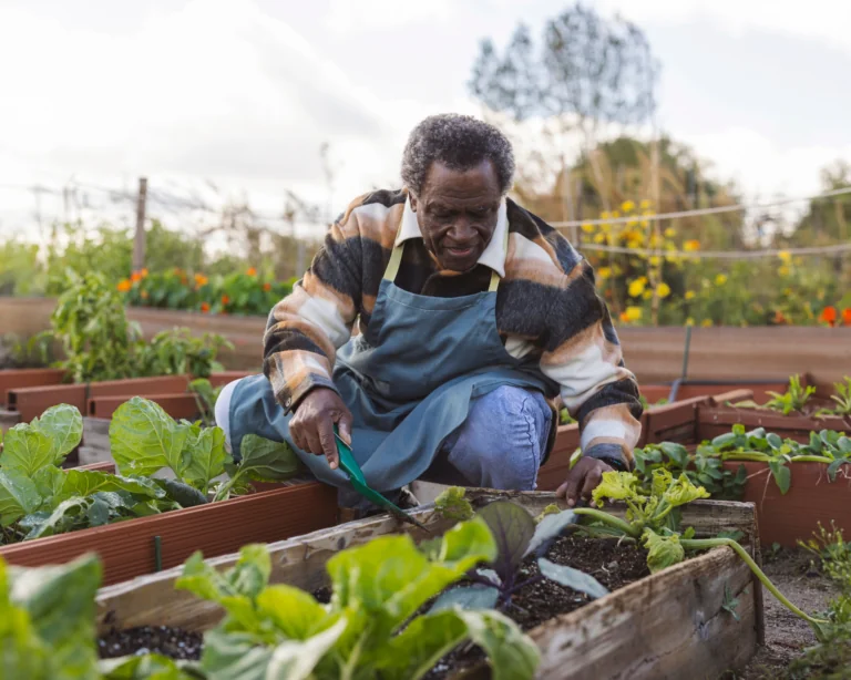 Portrait of an older Black man working in his garden
