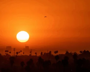 A hot summer sun rises over Los Angeles during a summer heatwave