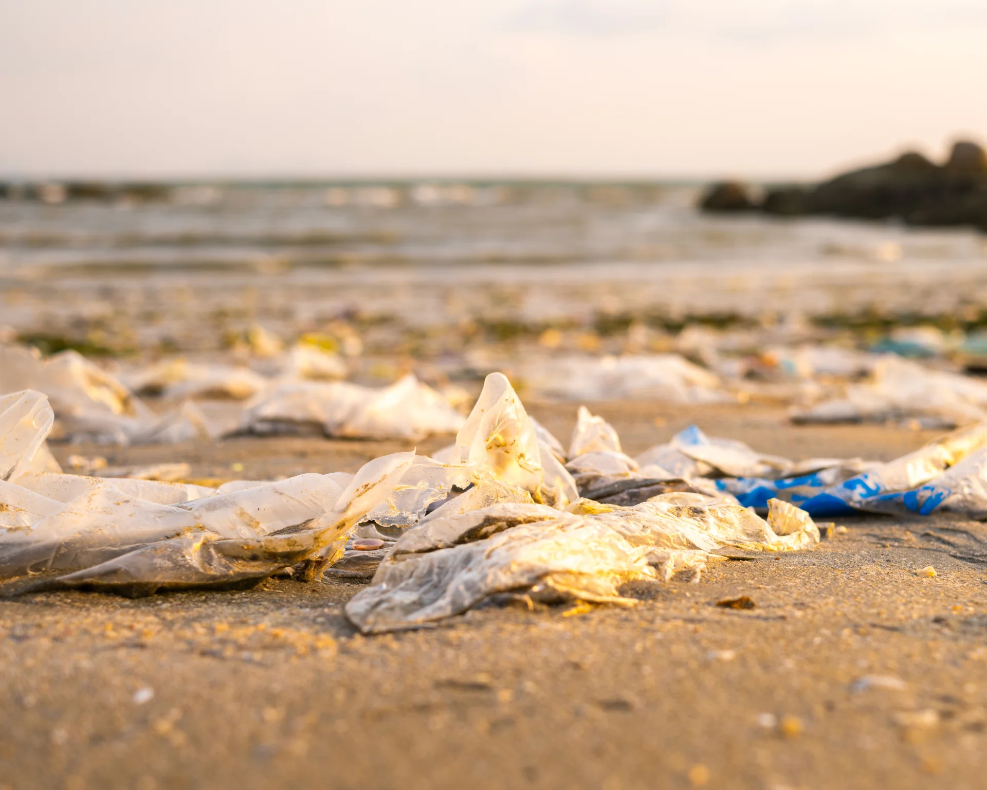 Trash, plastic cups, and plastic bags washed up on the shoreline at the beach. Environmental problem concept and healing the world