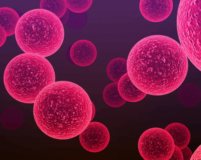 MRSA bacteria. Antibacterial resistance concept