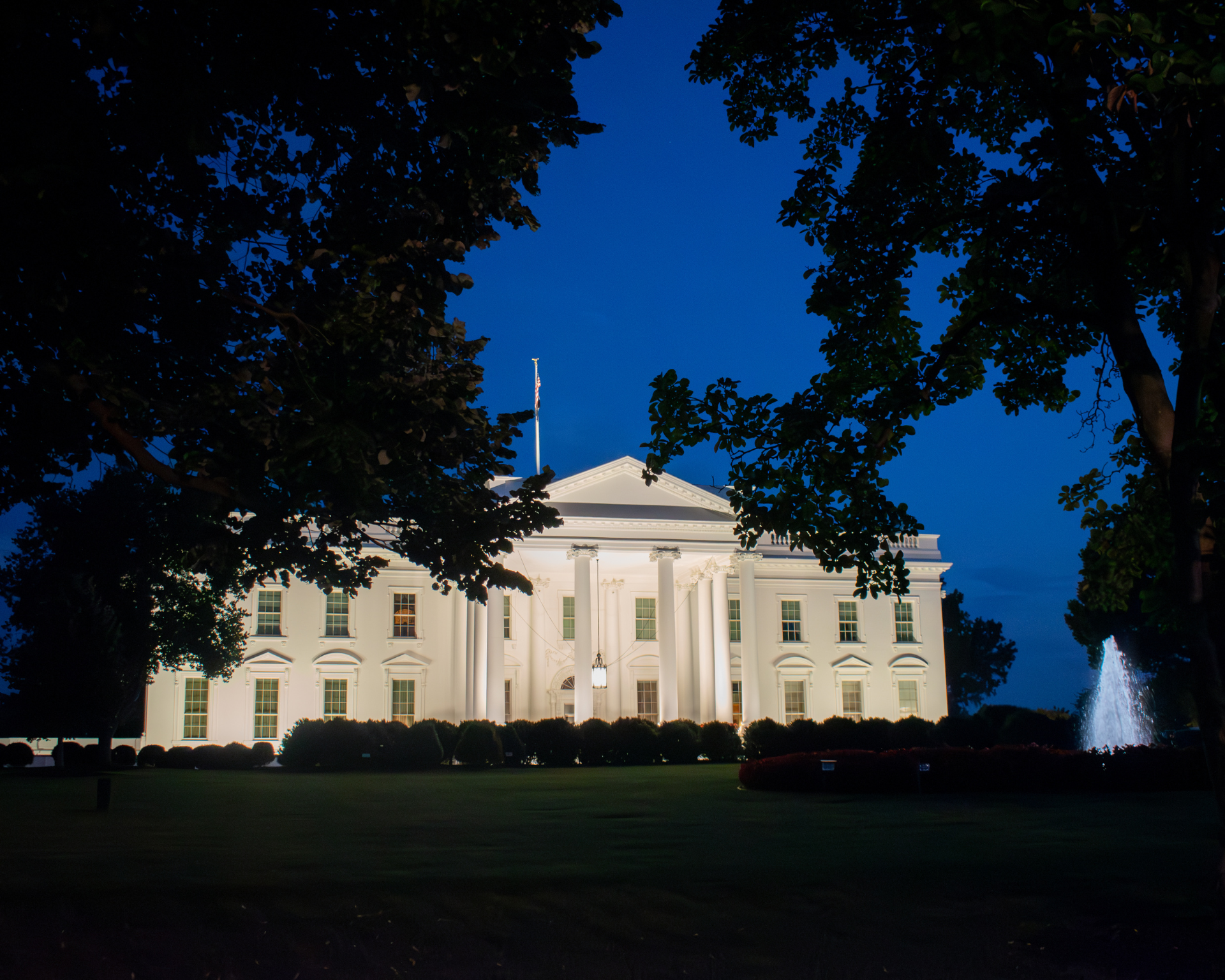 The front of the White House viewed through a canopy of trees at dusk.