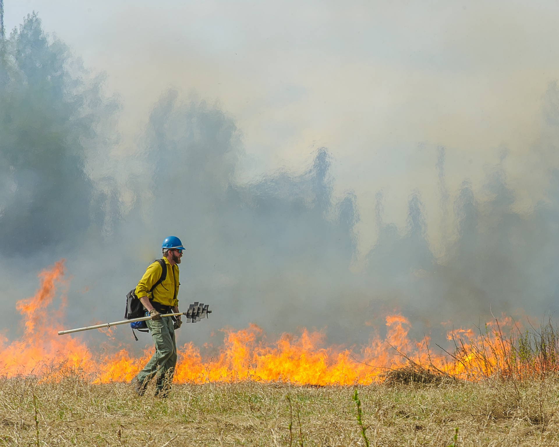 Wildland firefighter monitors a fire during a controlled burn at a local wildlife refuge.